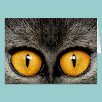 EYES cards by REDINARD EYES cards