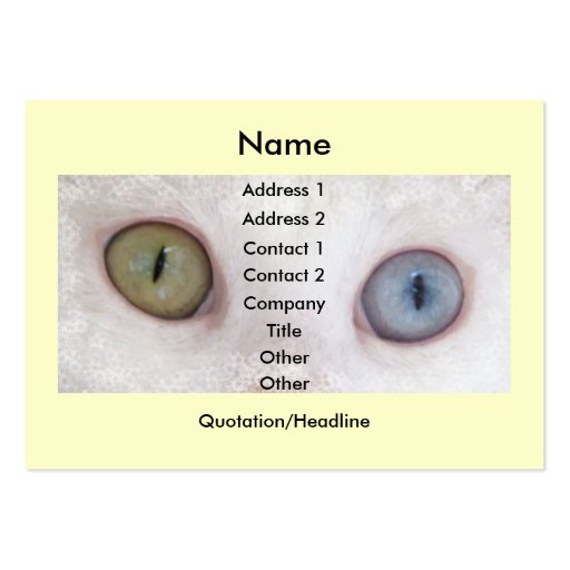Eyes for You Business Card