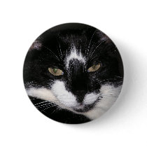 EYES OF A CAT buttons by MOMKAY EYES OF A CAT buttons