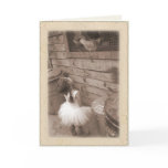 Eyes of a child cards