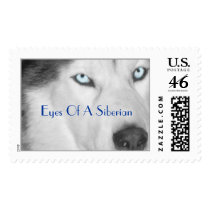 Eyes Of A Siberian postage