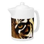 Eyes of a Tiger