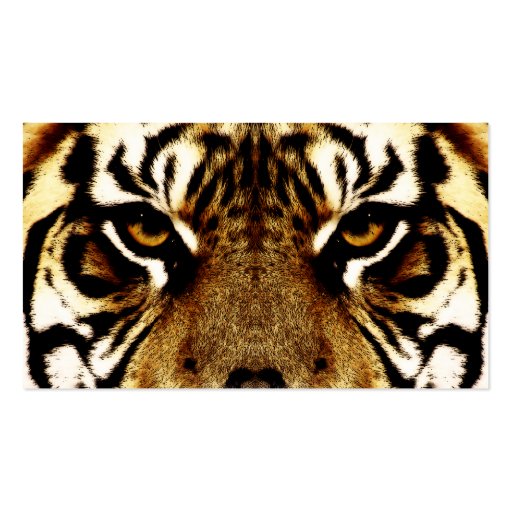 Eyes of a Tiger Business Card Templates (back side)