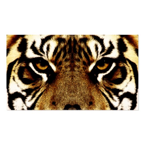 Eyes of a Tiger Business Card Templates