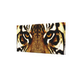 Eyes of a Tiger Gallery Wrap Canvas