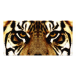 Eyes of a Tiger Personalized Photo Card
