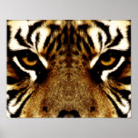 Eyes of a Tiger Print