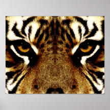 Eyes of a Tiger Print