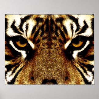Printable Tiger Eyes | tiger eyes posters tiger eyes prints art prints poster Printable Tiger Eyes | tiger eyes posters tiger eyes prints art prints poster