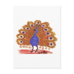 Eyes of India (brown) postcards