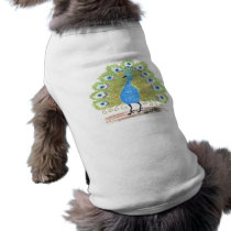 Eyes of India by Wendy C. Allen pet clothing