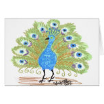 Eyes of India Peacock by Wendy C. Allen Cards Eyes of India Peacock by Wendy C. Allen Cards