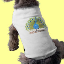 Eyes of India Peacock by Wendy C. Allen pet clothing