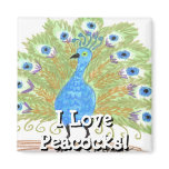Eyes of India Peacock by Wendy C. Allen magnets