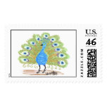 Eyes of India Peacock by Wendy C. Allen postage