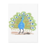 Eyes of India Peacock by Wendy C. Allen Postcard Eyes of India Peacock by Wendy C. Allen Postcard