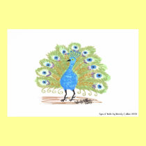 Eyes of India Peacock by Wendy C. Allen posters