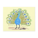 Eyes of India postcards