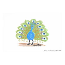 Eyes of India print by eelkat Eyes of India print