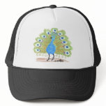 Eyes of India resize Hat