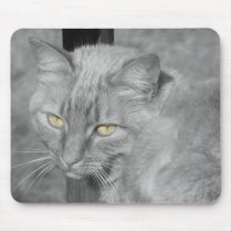 Eyes of the Cat Mousepad