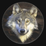 Eyes of the Mystic Gray Wolf Sticker