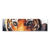 Eyes of the Tiger Artwork bumper stickers