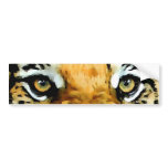 Eyes of Tiger Bumper Sticker