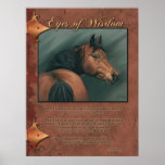Eyes of Wisdom Print