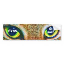 Eyes on the Road Cat bumper stickers