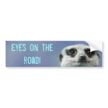 Eyes on the Road Meerkat bumper stickers