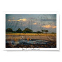 Eyes Over the Savannah posters by Peah22 Eyes Over the Savannah posters