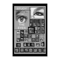 EYES #P104 posters by JOSEPHINEB3 EYES #P104 posters