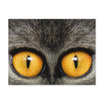 EYES postcards