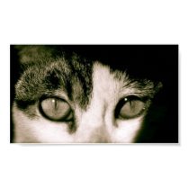 Eyes posters