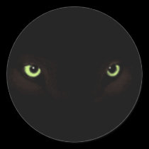Eyes Sticker