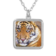 Eye's That See_ Jewelry