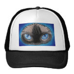 EYES WATCHIN' YOU MESH HAT