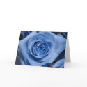 Eyes Wide Open from Blue Series cards by sljones65 Eyes Wide Open from Blue Series cards