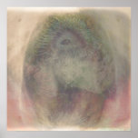 eyesee-serie posters