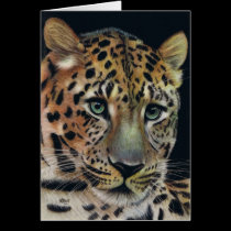 EyesofSteel cards