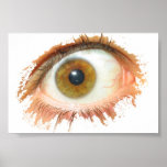 Eyesplash Poster