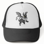 Eyrie Shadow Mesh Hat