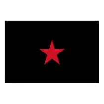 Ezln, Colombia flag posters