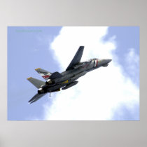 F14 Climbs Skyward Posters
