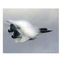 F14 in High Speed Pass print