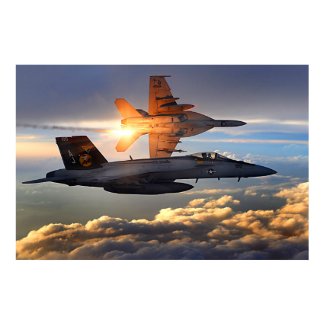 F18's Releasing Flares print