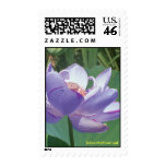 F82067, John-Michael.net Postage Stamps