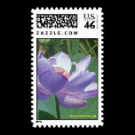 F82067, John-Michael.net stamps