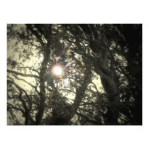 F.05.S - Trought Fingers Photo Art